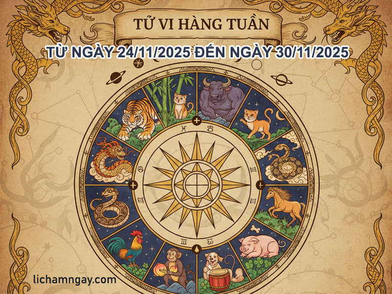 Từ vi hàng tuần mới từ ngày 24/11/2025 đến 30/11/2025