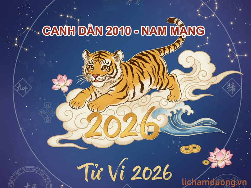 Tử vi năm Bính Ngọ 2026 tuổi Canh Dần 2010, nam mạng