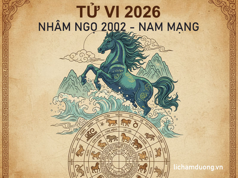 Tử vi năm Bính Ngọ 2026 tuổi Nhâm Ngọ 2002, nam mạng